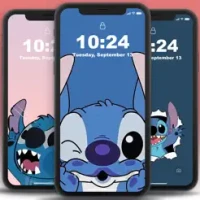 Koala Blue Wallpapers &amp; Live