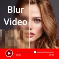 Video Mosaic Blur